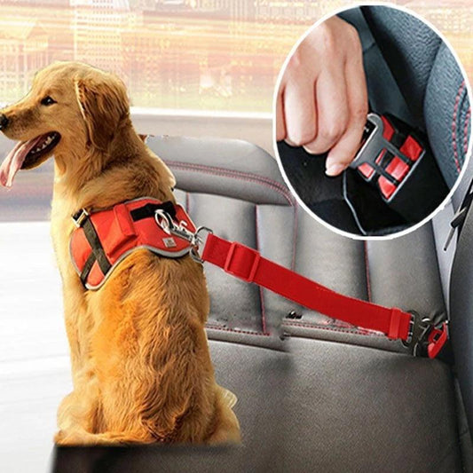 TravelTails Safety Clip - PetLoveDiscount